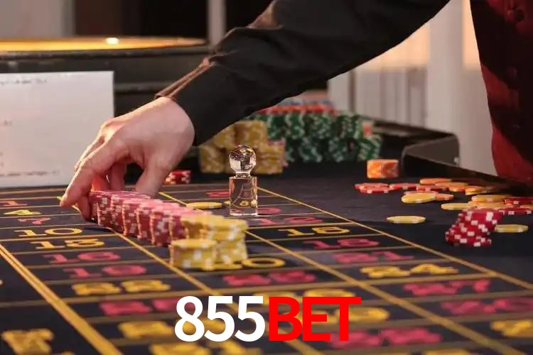 Bônus Diários 855Bet
