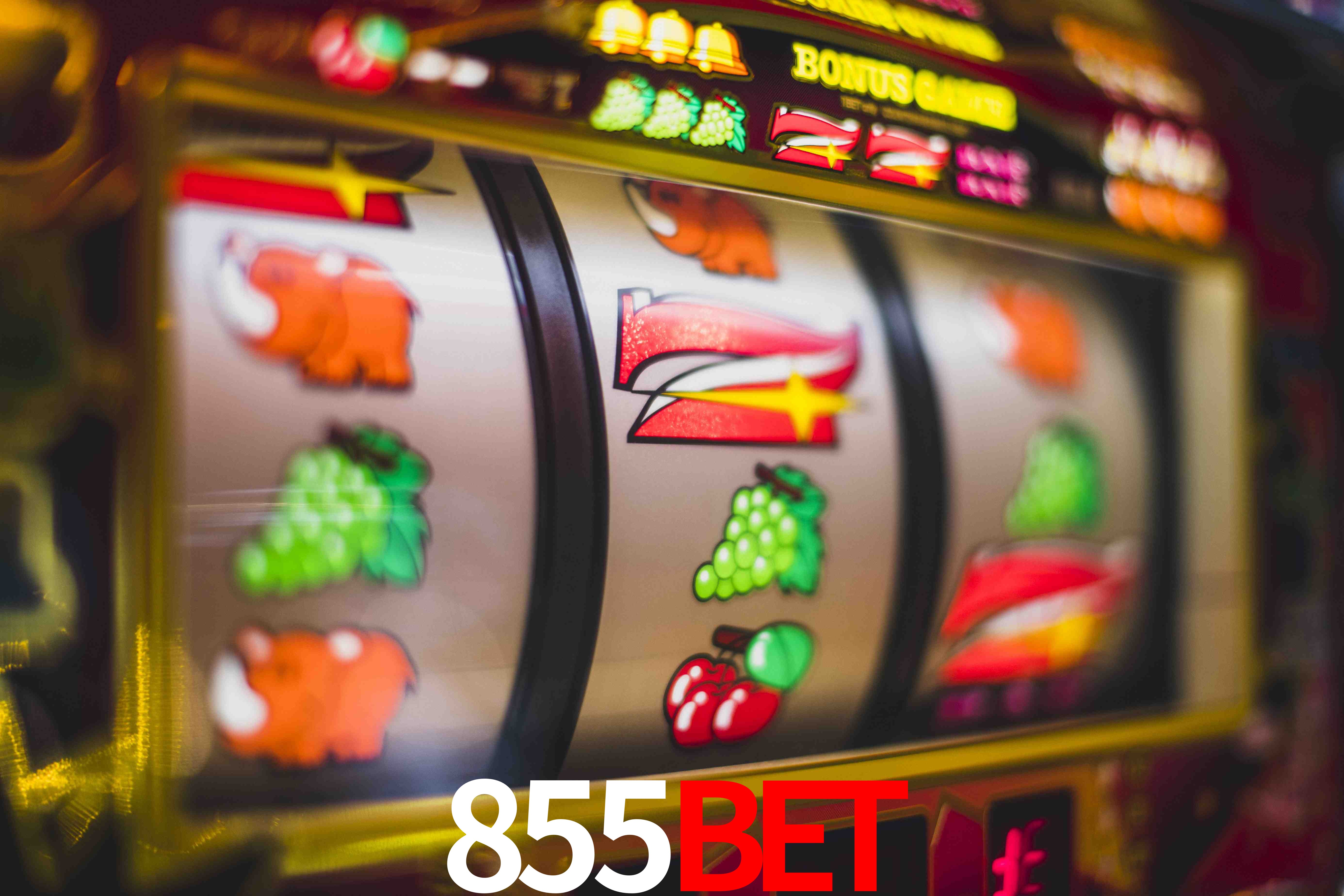Roulette Table 855Bet